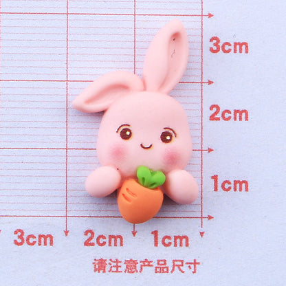 Charm Of Carrot Rabbit